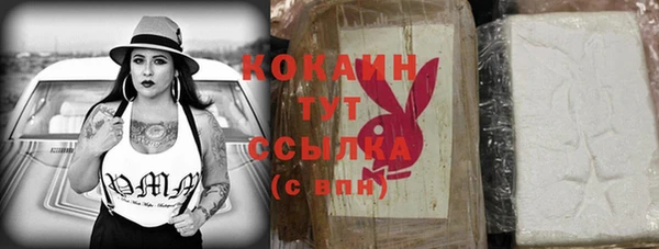 шишки Алексин
