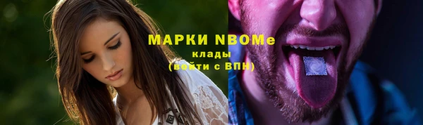 шишки Алексин