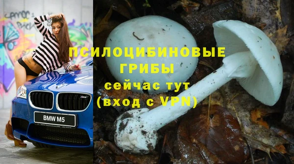 герыч Абинск