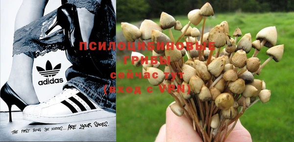 стафф Алексеевка