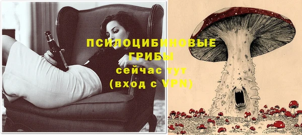 шишки Алексин