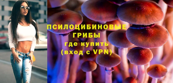 стафф Алексеевка