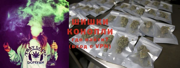 шишки Алексин